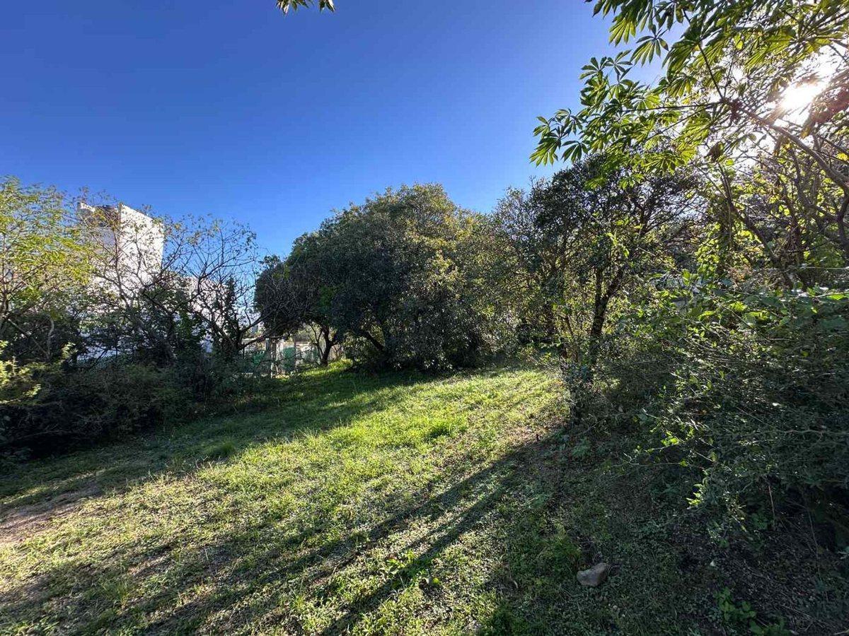Foto de VENTA LOTE 698M CON CERCANIA AL RIO EN CABALANGO, imagen 1