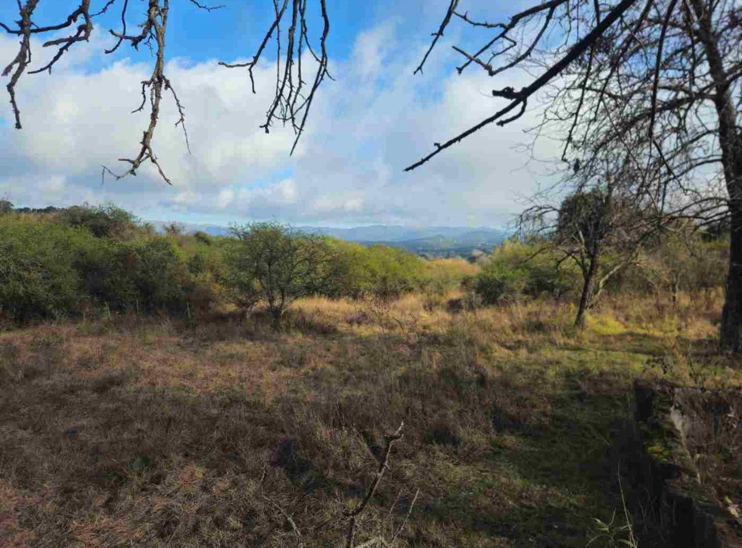 Foto de VENDO lote de 5 Ha para desarrollo en Unquillo, imagen 3