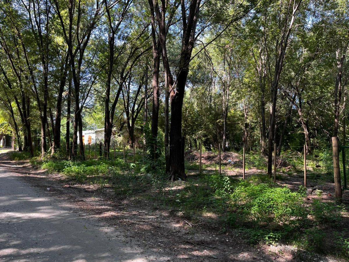 Foto de VENTA LOTES ANISACATE 1250 m2 B° PARQUE SAN MARTIN, imagen 3