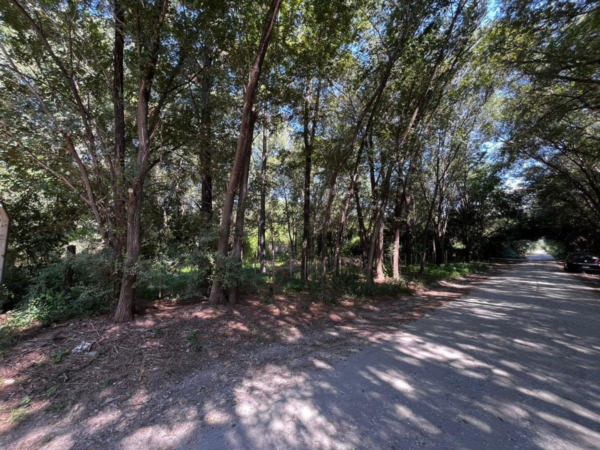 Foto de VENTA LOTES ANISACATE 1250 m2 B° PARQUE SAN MARTIN, imagen 5