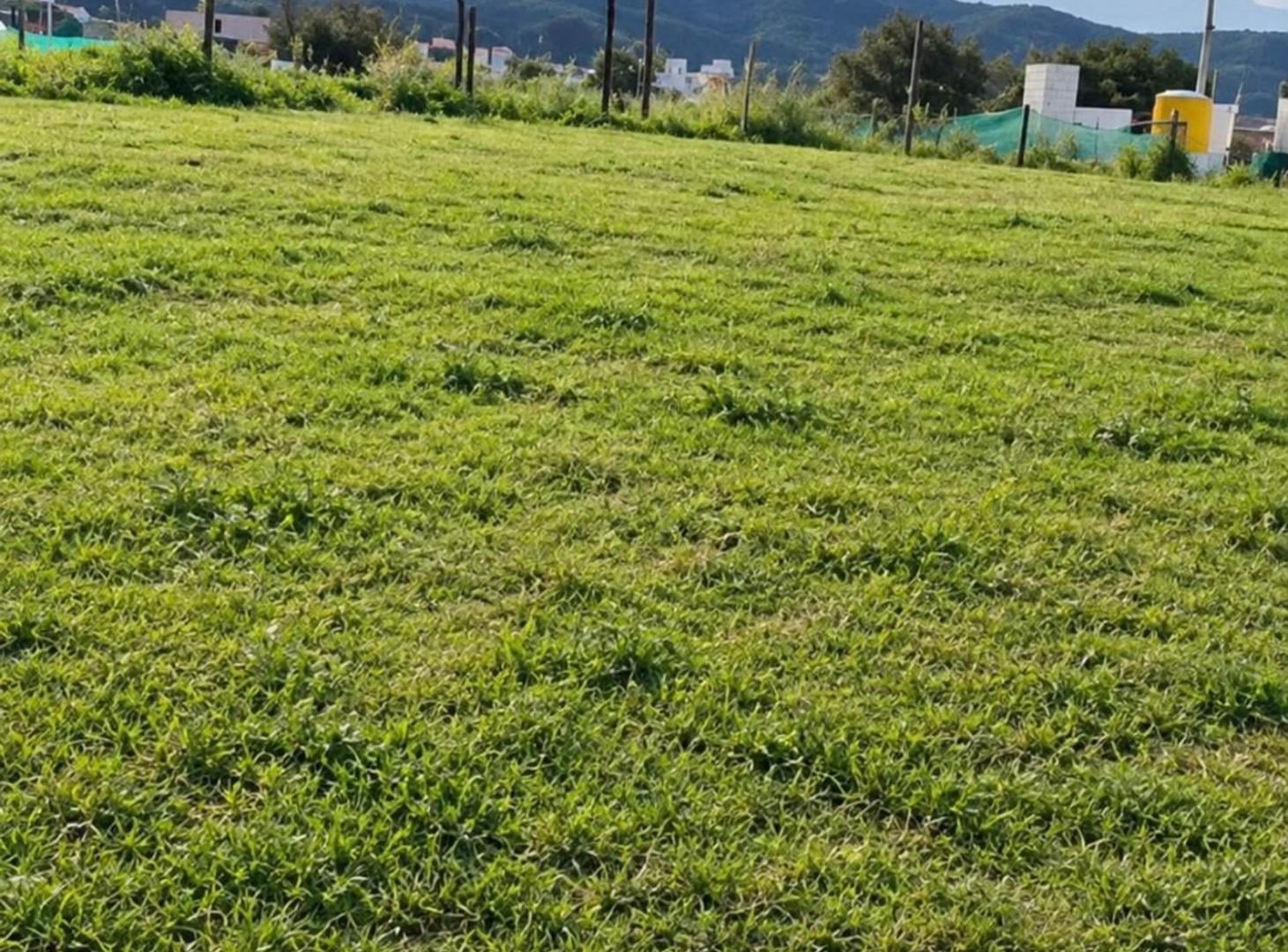 Foto de Lote en Venta en Tejas 4 Financiación propia, imagen 3