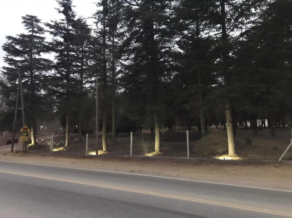 Foto de SE VENDE HECTAREAS, FRACCION, CASONA EN SAN ANTONIO DE ARREDONDO, imagen 3