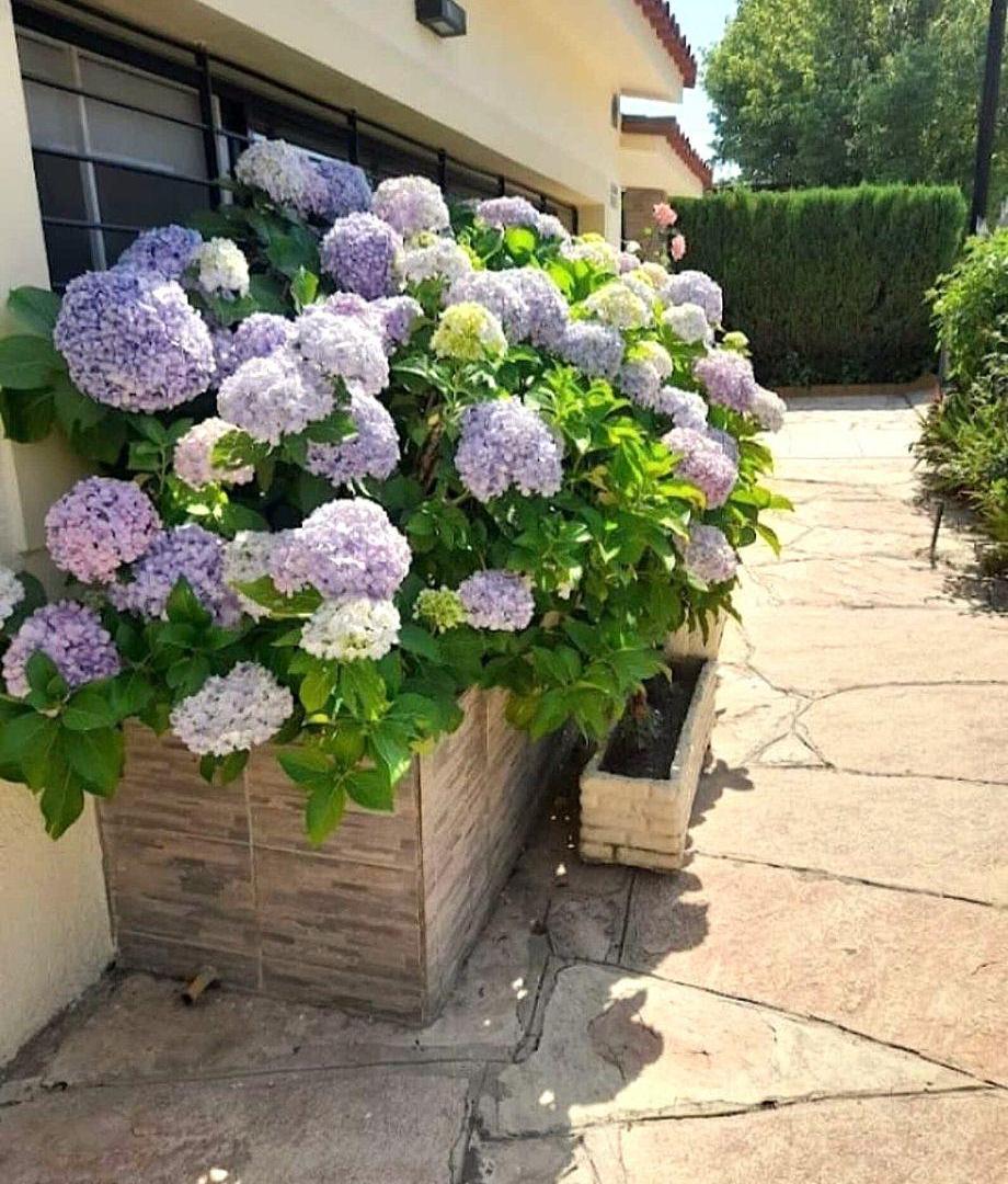 Foto de Casa Impecable, hermosa y en Exc. Ubicación., imagen 1