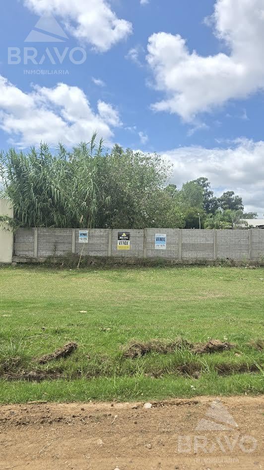 2 Lotes de 300 m2 y 619 m2