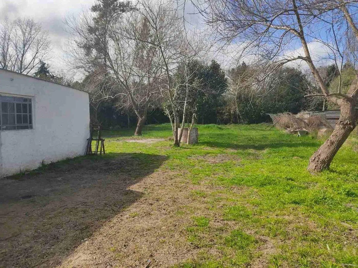 Alquiler Local Comercial con Amplio Terreno 4