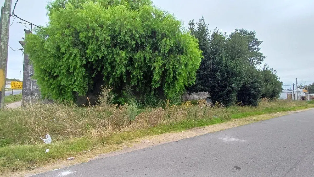 Venta de casa a reciclar con gran terreno en Pando 3