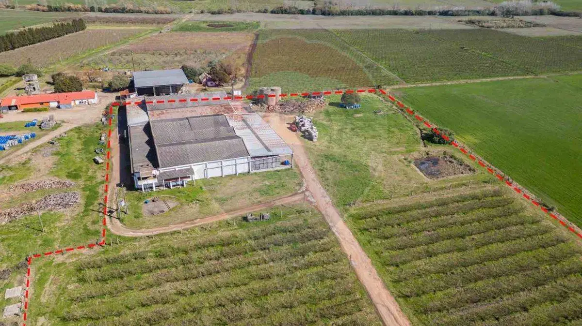 VENTA NAVE LOGÍSTICA SOBRE RUTA 5 CANELONES 4