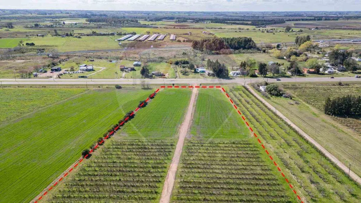 VENTA NAVE LOGÍSTICA SOBRE RUTA 5 CANELONES 2