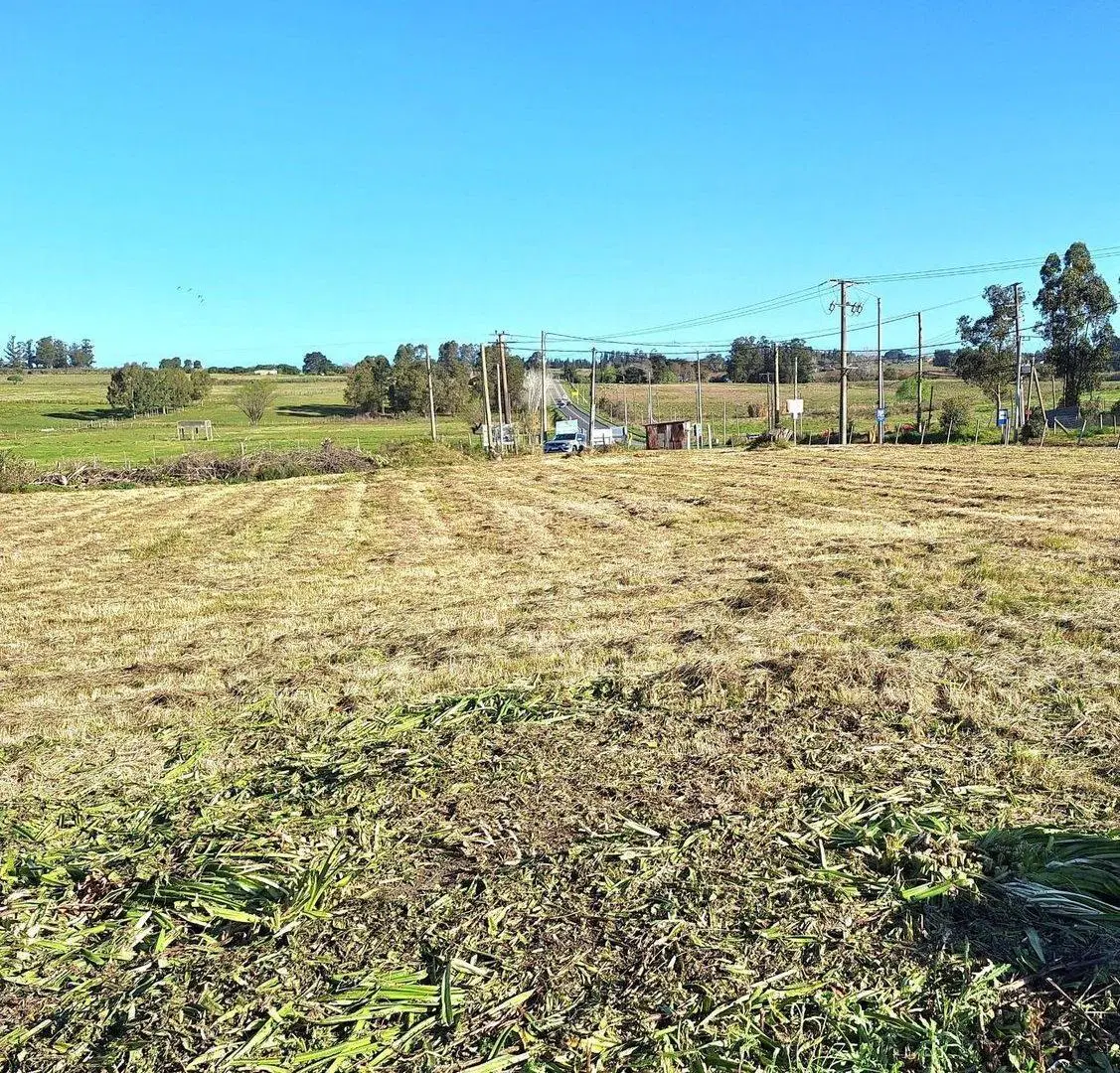 Alquiler de terreno 5.500m² sobre Ruta 34 Km. 40 5