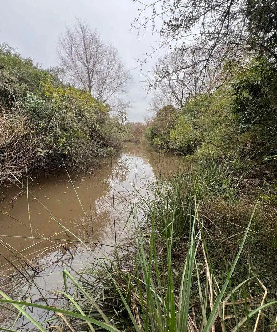 Venta Campo 18.970 Has sobre arroyo. Costa Azul 4
