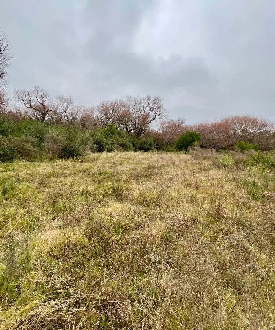 Venta Campo 18.970 Has sobre arroyo. Costa Azul 3