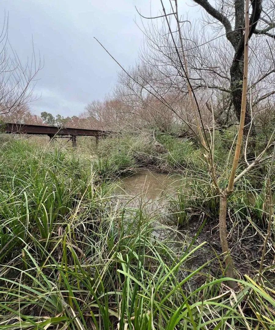 Venta Campo 18.970 Has sobre arroyo. Costa Azul 2