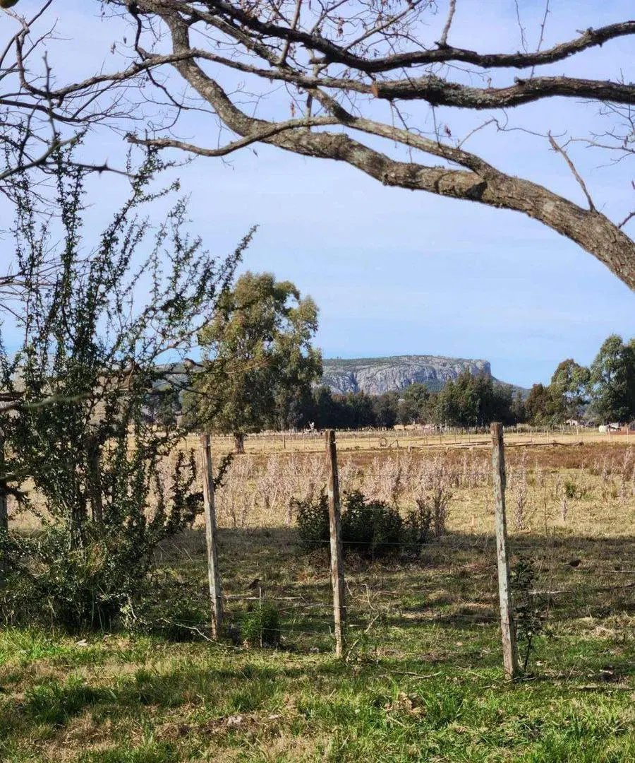 VENTA CAMPO 8ha  establecimiento POZO AGUA, MINAS 5