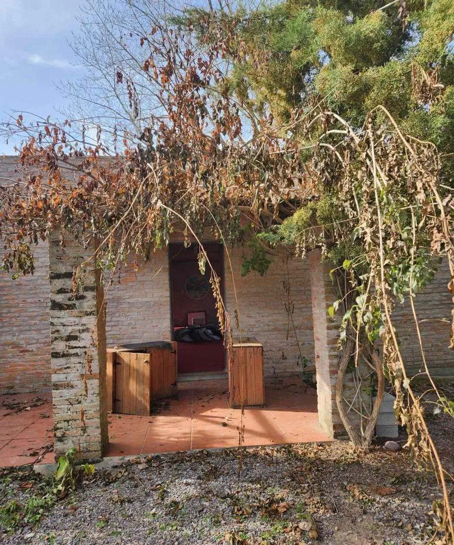 VENTA CAMPO 8ha  establecimiento POZO AGUA, MINAS 2