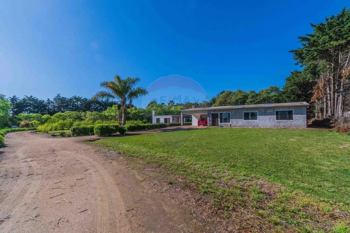 Venta de campo 3,5Ha. sobre Ruta 87 con dos casas. 5
