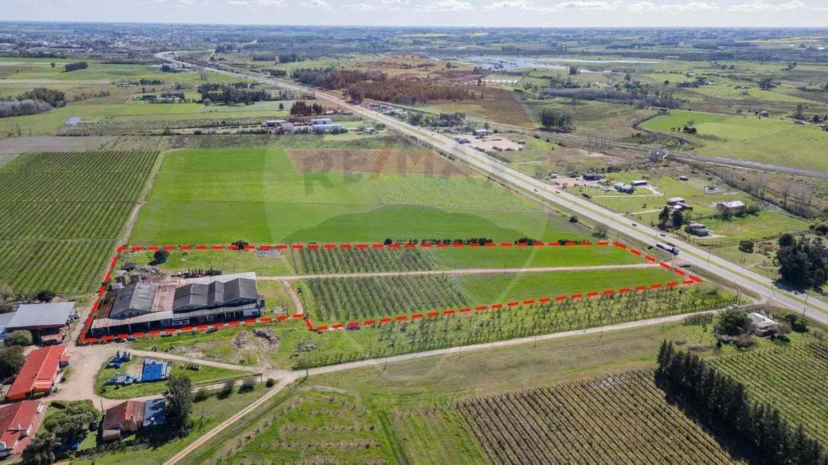 VENTA NAVE LOGÍSTICA SOBRE RUTA 5 CANELONES 5