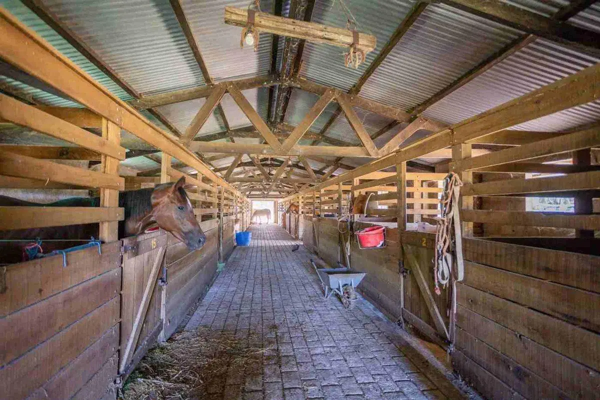 VENTA HARAS ESTABLECIMIENTO PARA EVENTOS CANELONES 4