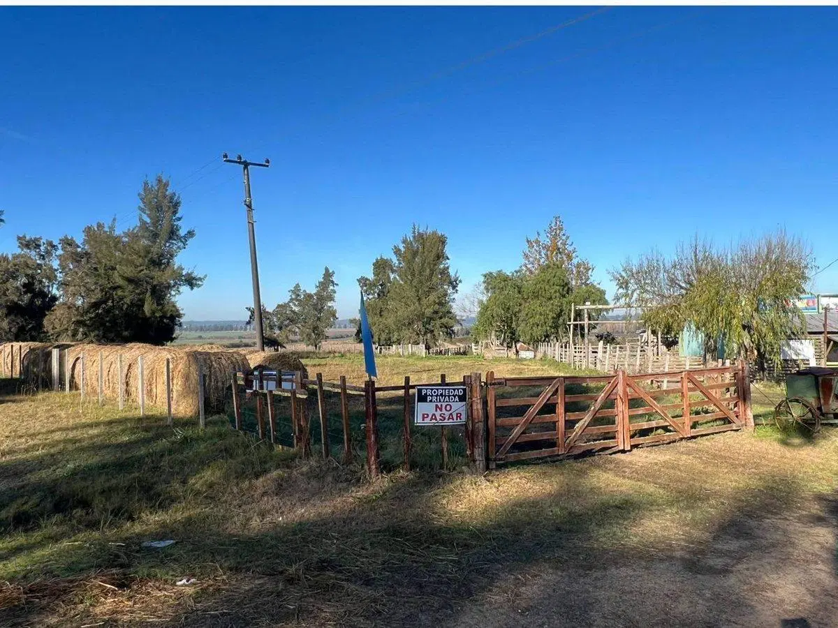 Venta de campo 6Has. sobre Ruta 11 Km. 146 2