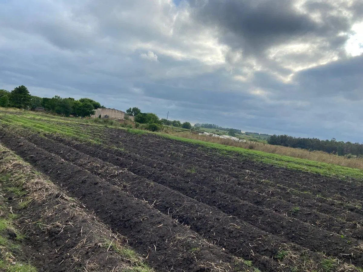 Venta de terreno KM 32 Progreso 3HA 3