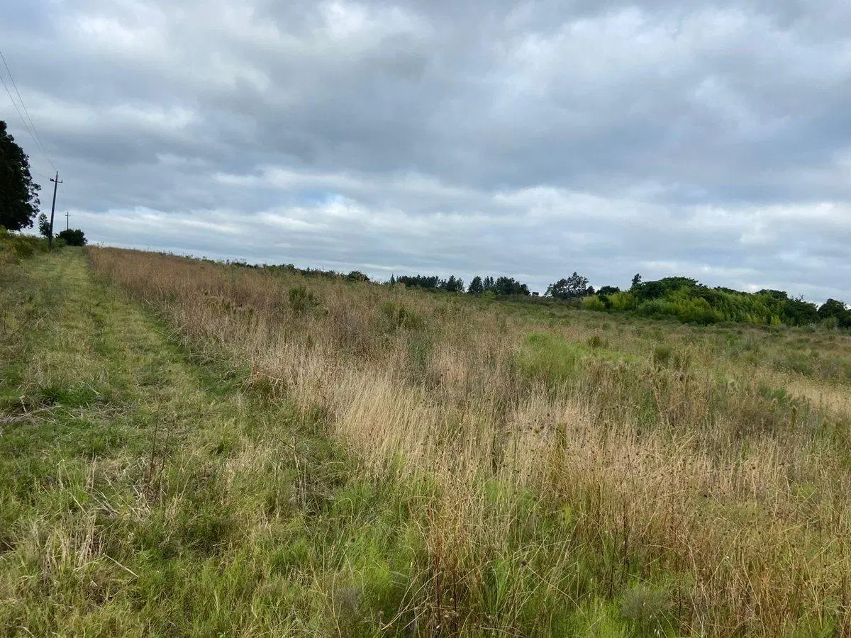 Venta de terreno KM 32 Progreso 3HA 4