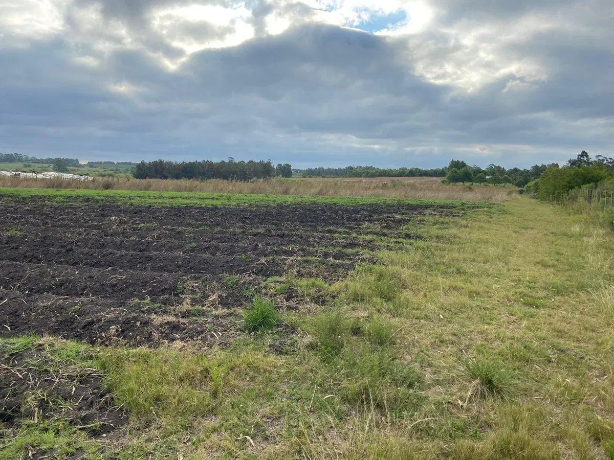 Venta de terreno KM 32 Progreso 3HA 2