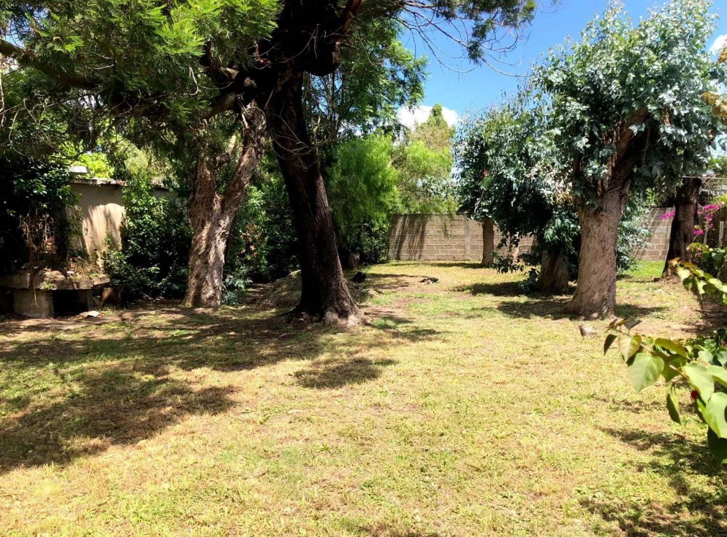 Venta terreno con mejoras en San Luis 4