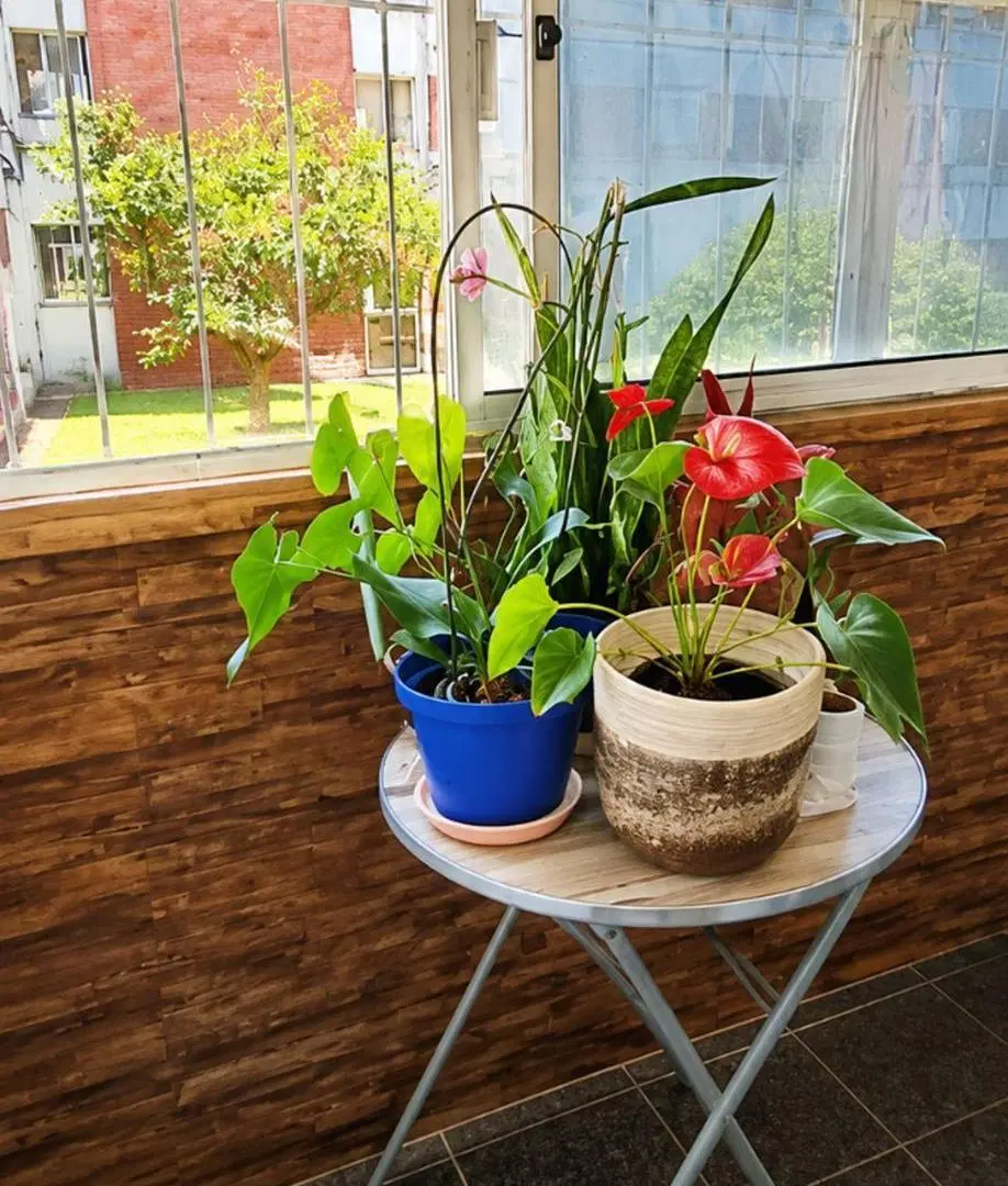 Venta Apto 3 Dormitorios C. Cerrado con área verde 4