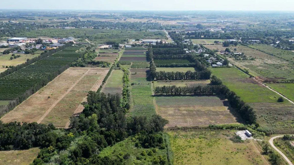 VENTA Terreno 55707 m2,LOGISTICA, PASO DE LA ARENA 4