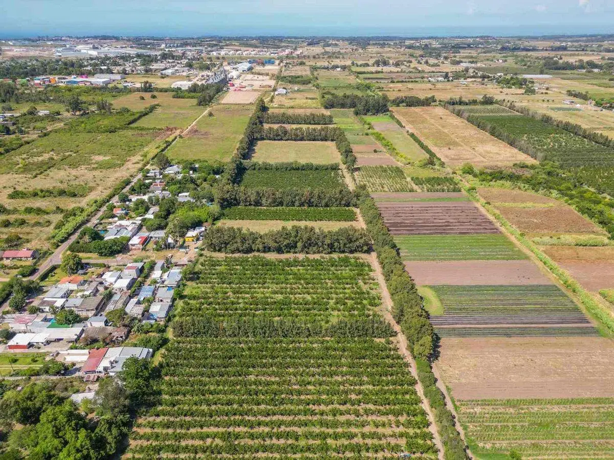 VENTA Terreno 55707 m2,LOGISTICA, PASO DE LA ARENA 3