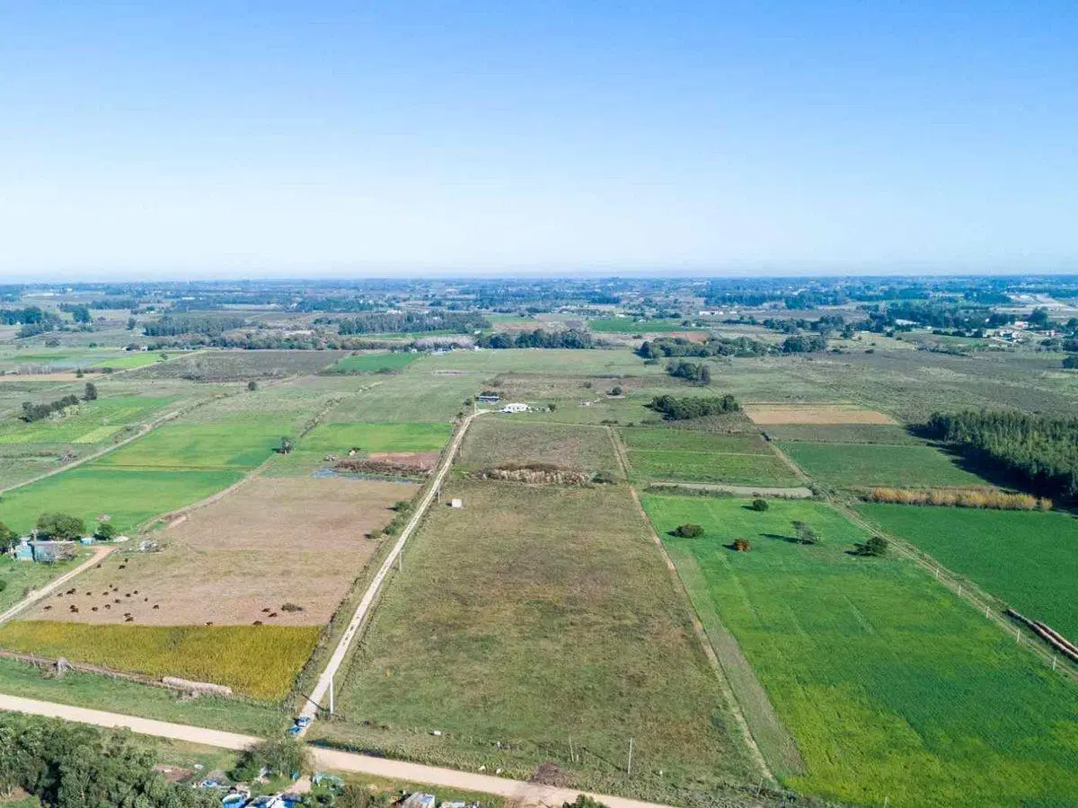 VENTA DE CAMPO 4 HECTAREAS CON TAJAMAR RUTA 75 4