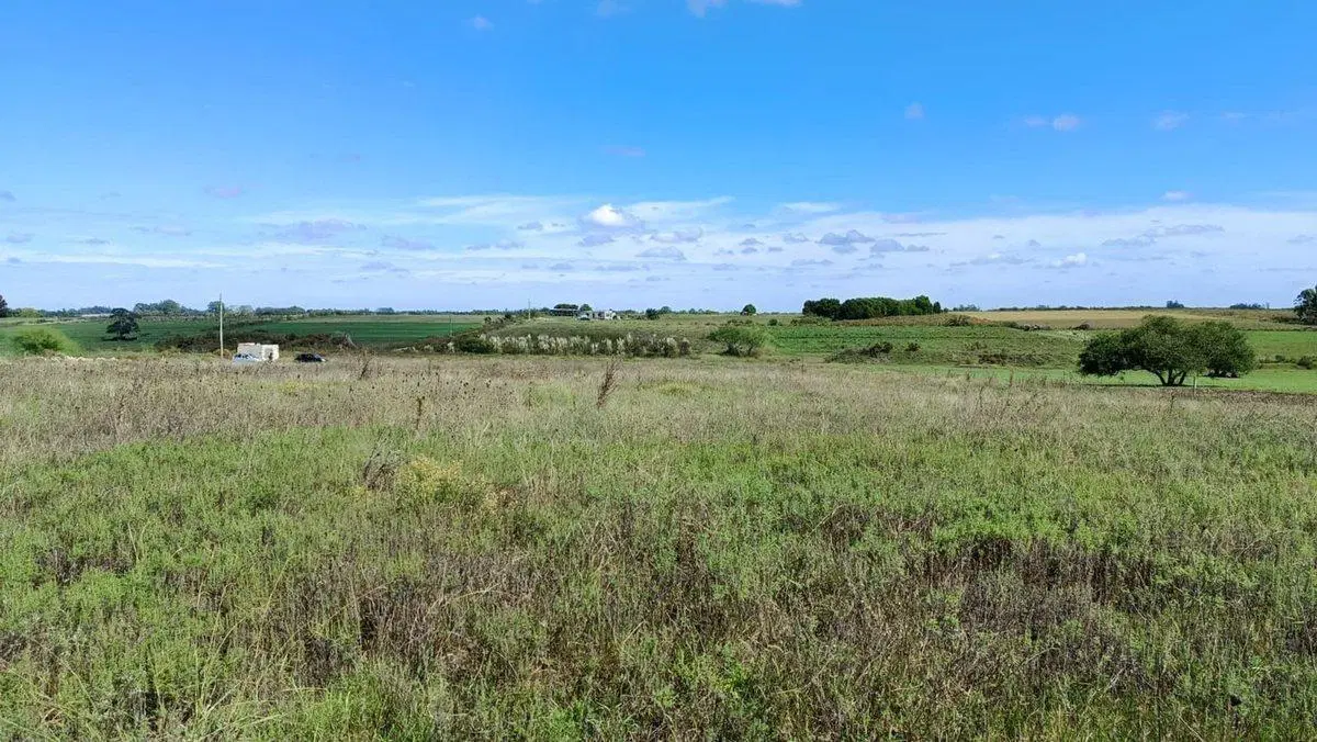 VENTA DE CAMPO 4 HECTAREAS CON TAJAMAR RUTA 75 5