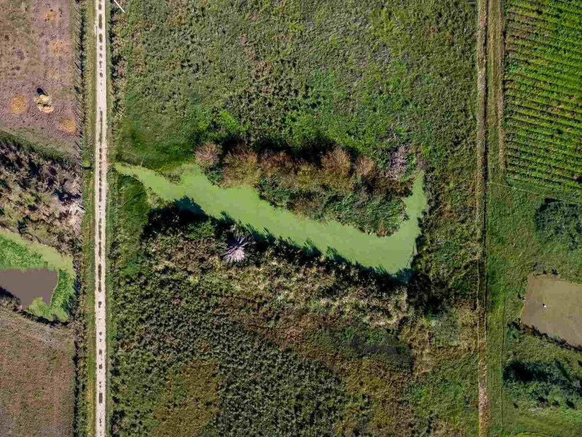 VENTA DE CAMPO 4 HECTAREAS CON TAJAMAR RUTA 75 2
