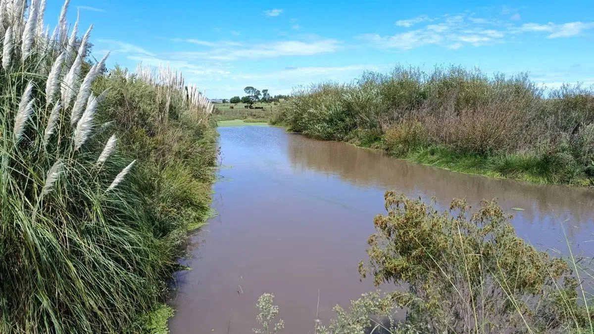 VENTA DE CAMPO 4 HECTAREAS CON TAJAMAR RUTA 75 3