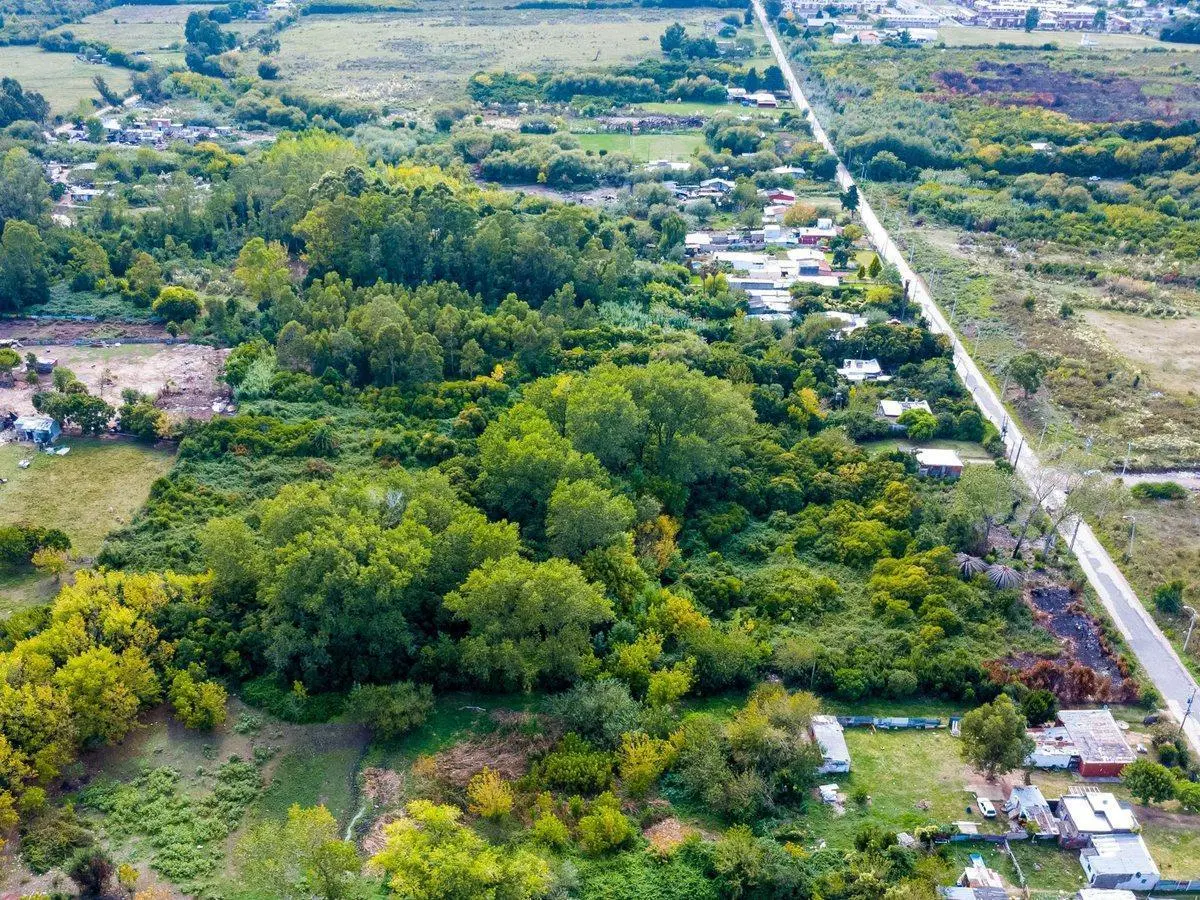 Venta de campo 13.125m² Piedras Blancas Montevideo 2