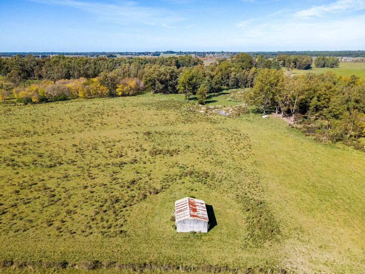 Venta de campo con 6 Ha. en Rincón de Pando 3