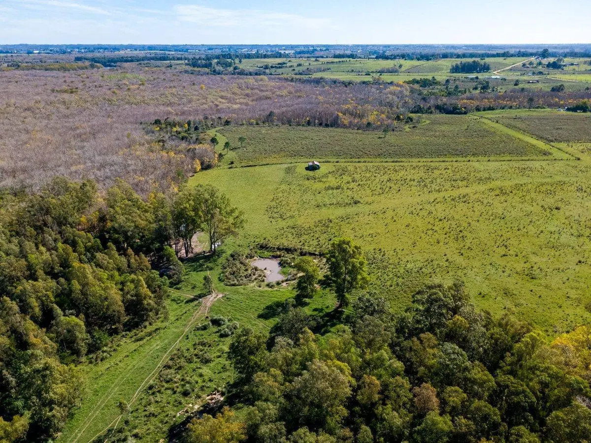 Venta de campo con 6 Ha. en Rincón de Pando 4