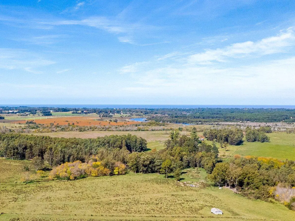 Venta de campo con 6 Ha. en Rincón de Pando 5