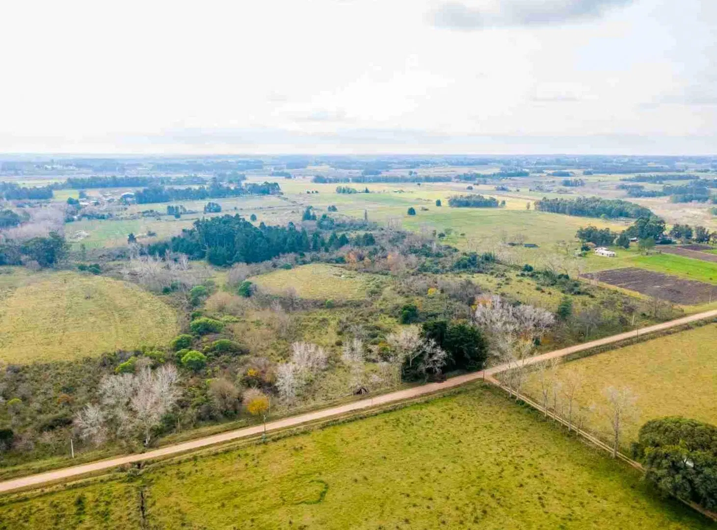 Venta de campo 5,6Ha en Rincon de Pando, Canelones 2