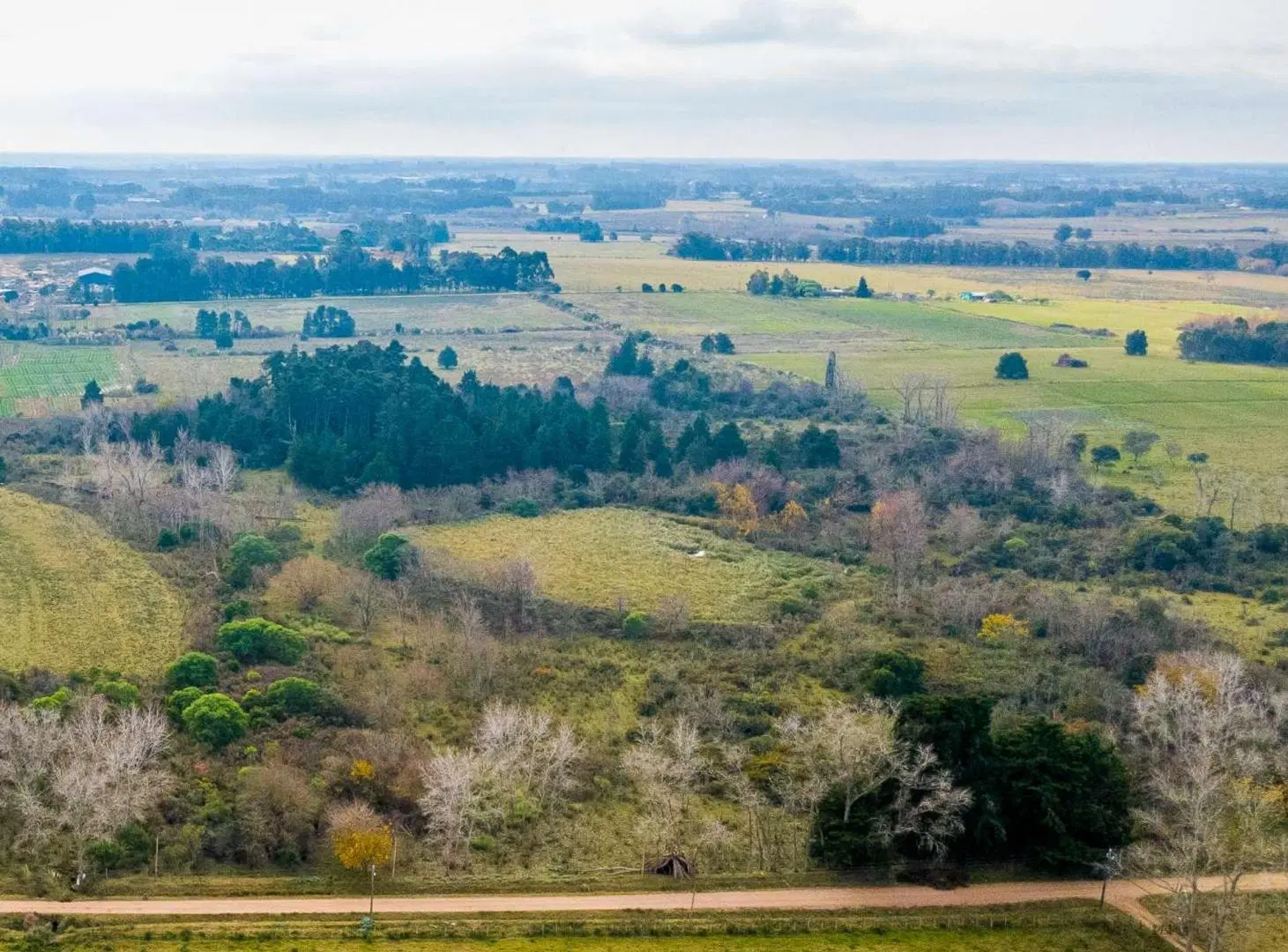 Venta de campo 5,6Ha en Rincon de Pando, Canelones 3