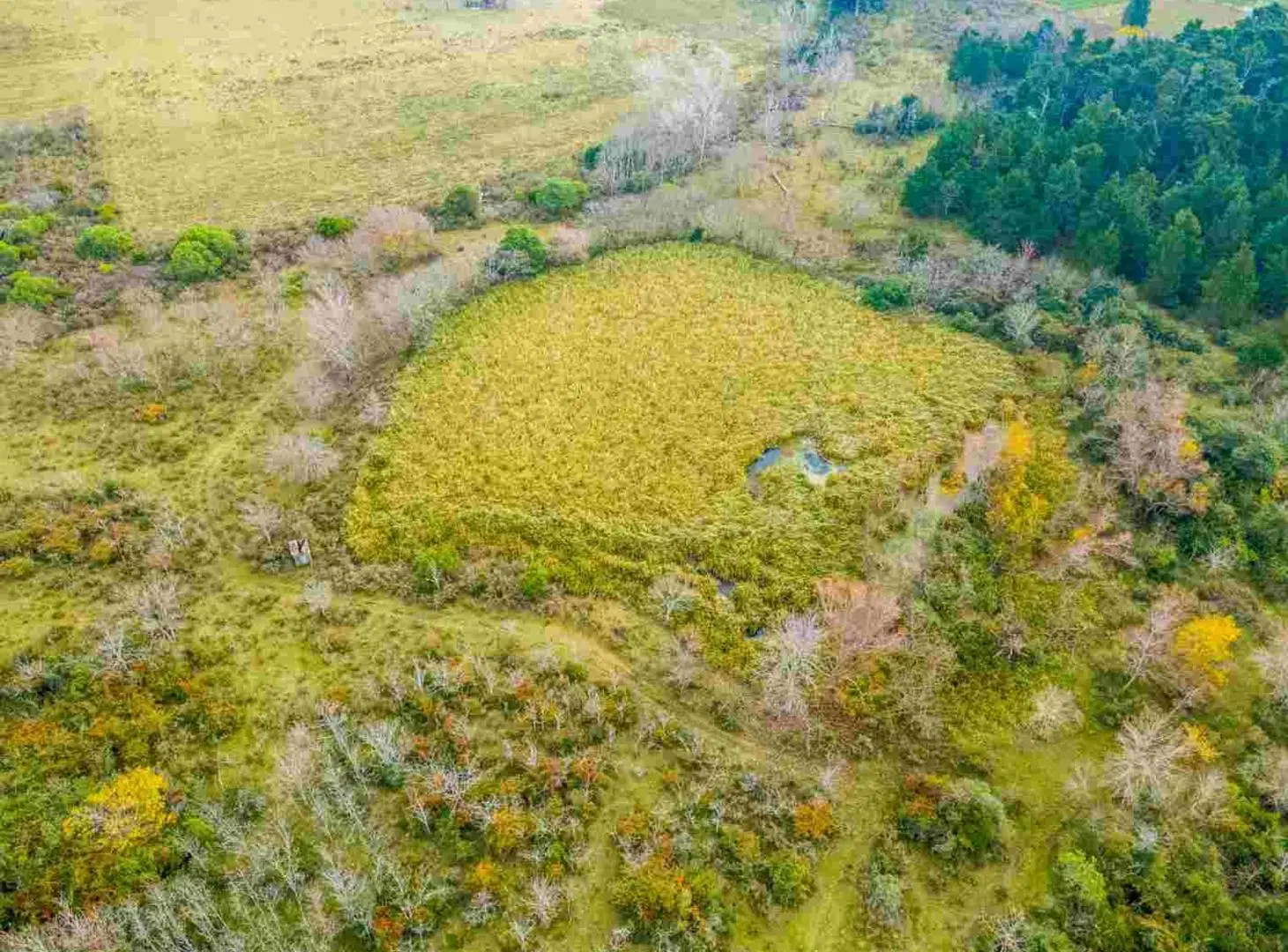 Venta de campo 5,6Ha en Rincon de Pando, Canelones 4
