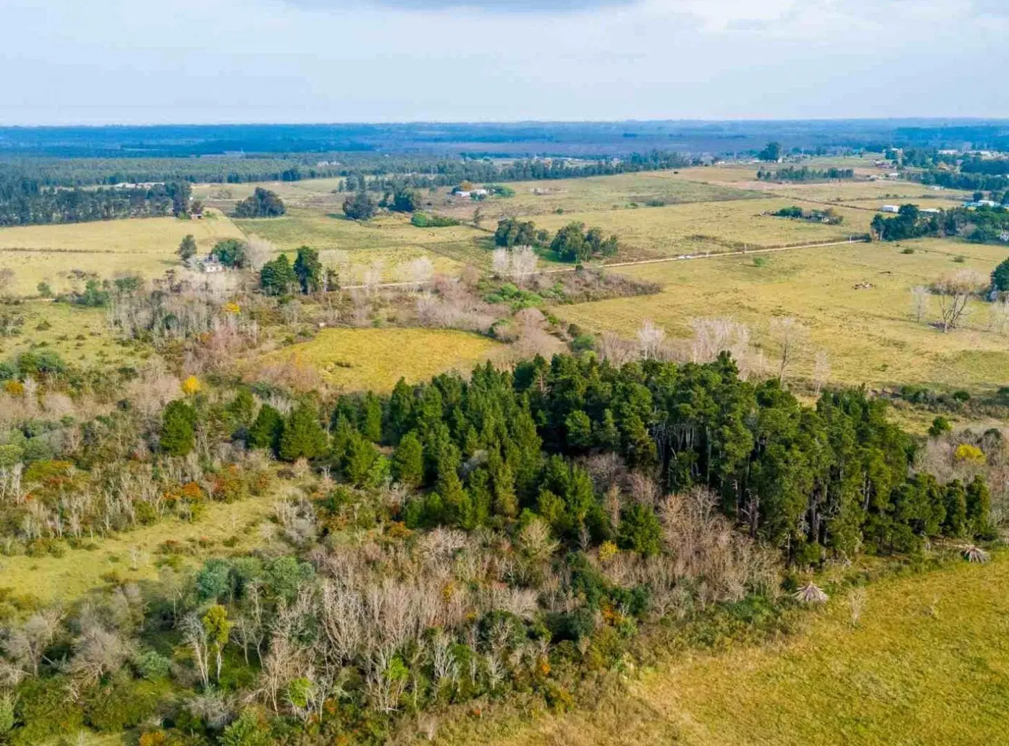 Venta de campo 5,6Ha en Rincon de Pando, Canelones 5