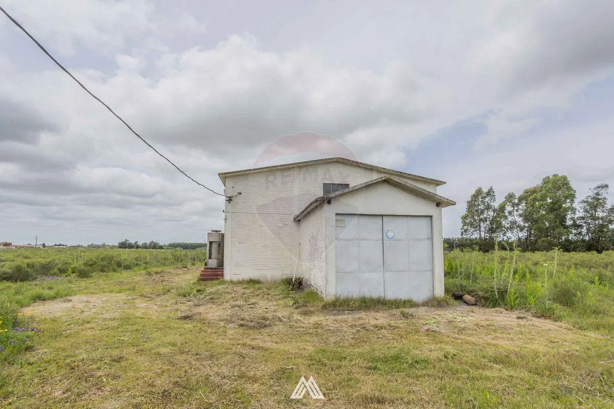 VENTA CHACRA DE 5.84 HA, Bodega Boutique, SAN JOSÉ 3