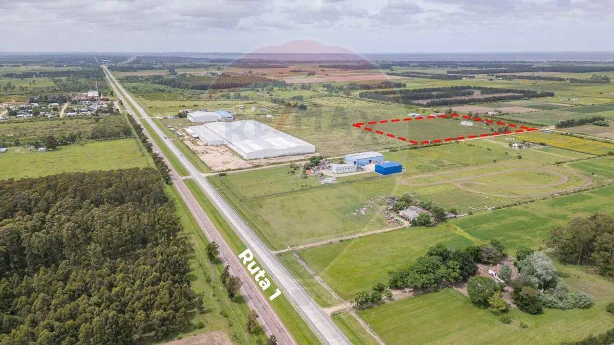 VENTA CHACRA DE 5.84 HA, Bodega Boutique, SAN JOSÉ 5