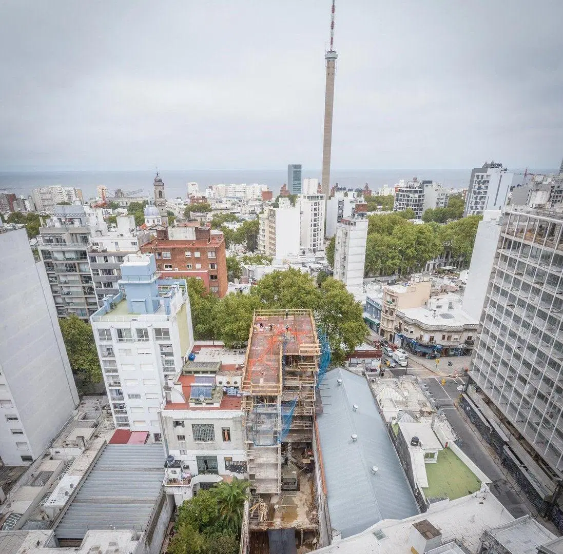 VENTA MONO EN CORDON ESTRENA EN JUNIO 2026 5