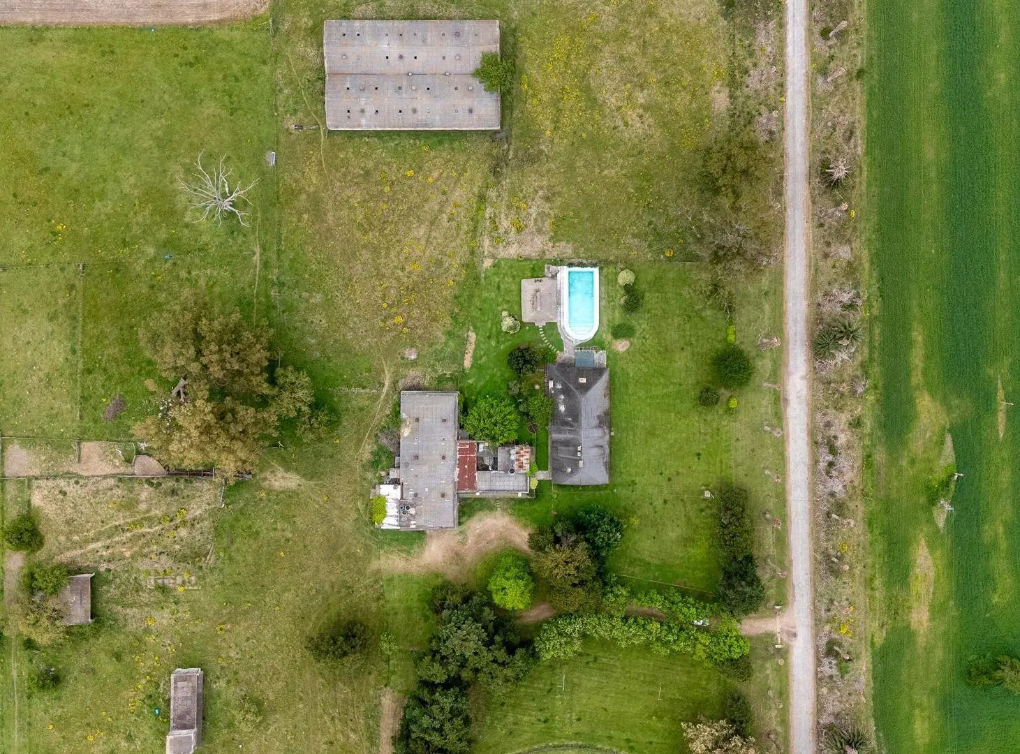 VENTA CAMPO 126 HA, Vivienda y ex Haras, Florida 2