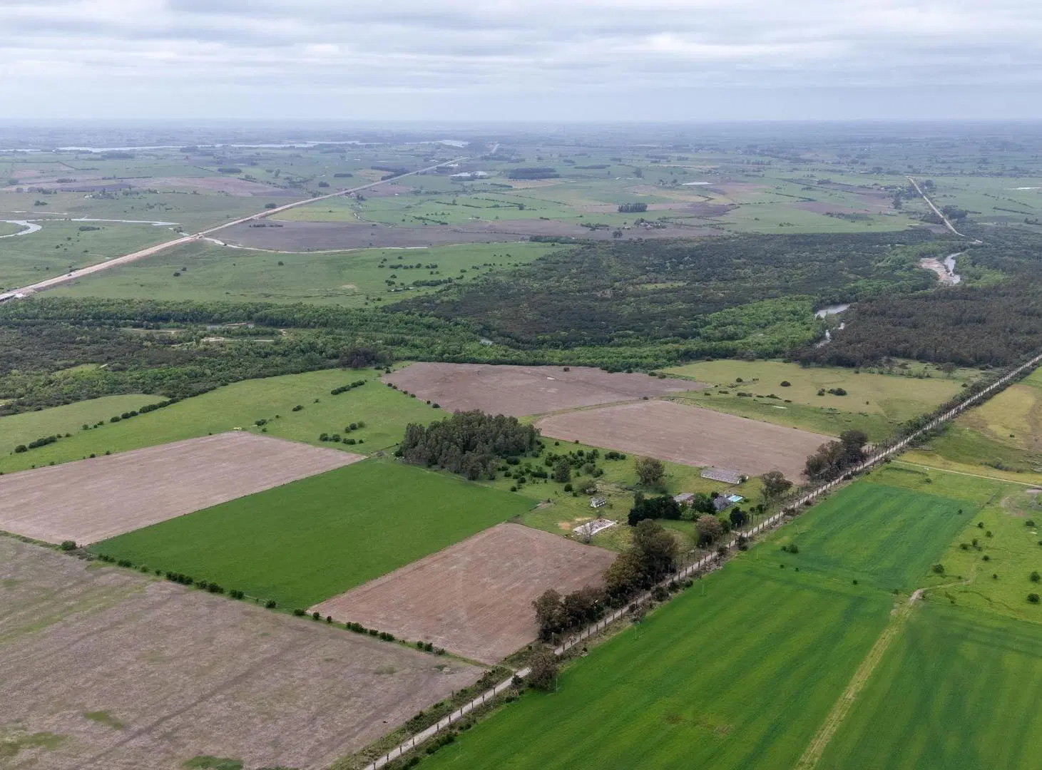 VENTA CAMPO 126 HA, Vivienda y ex Haras, Florida 4