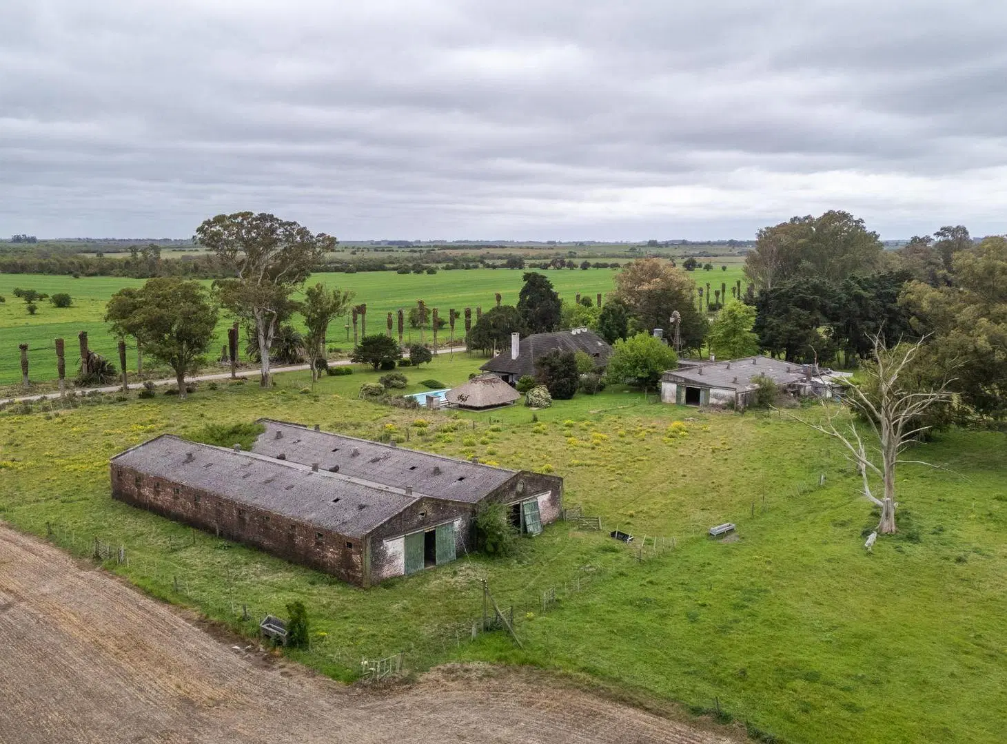 VENTA CAMPO 126 HA, Vivienda y ex Haras, Florida 3