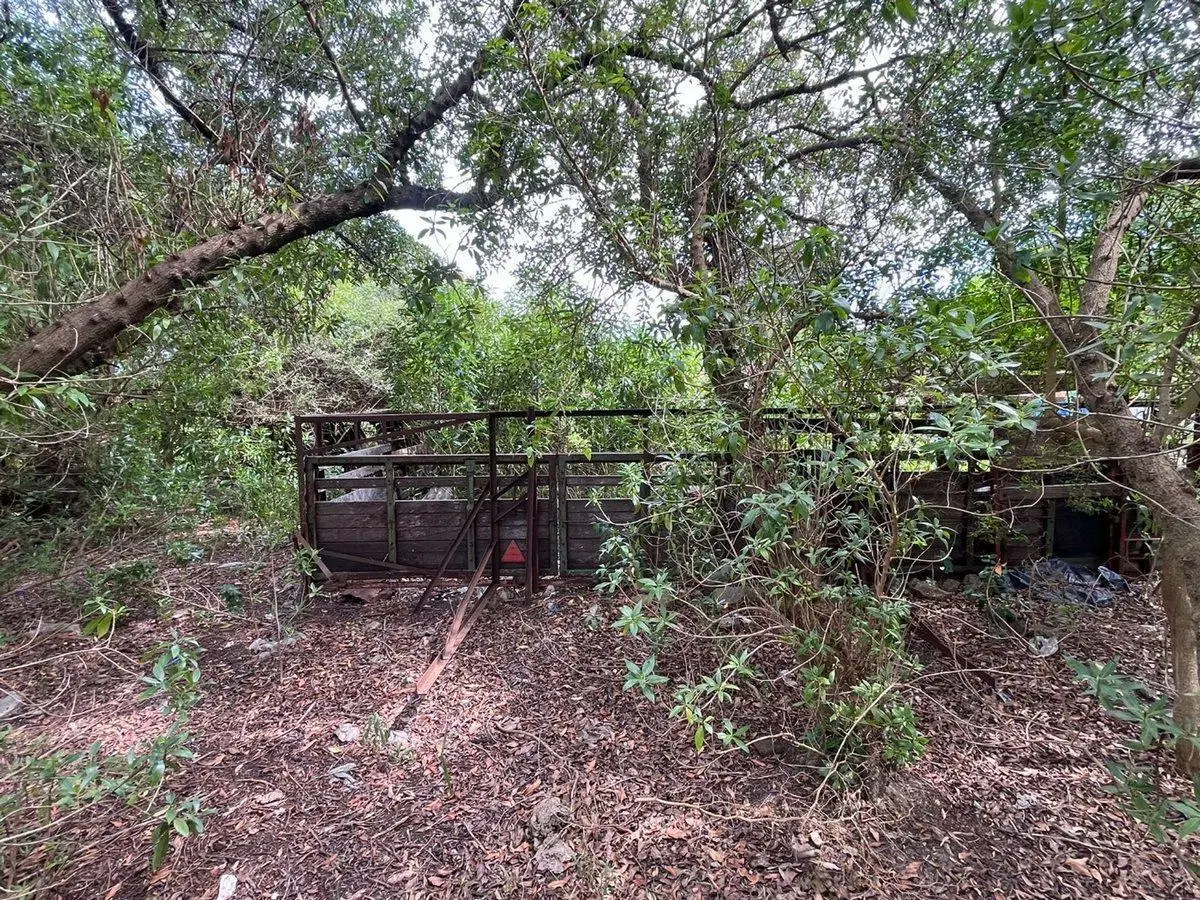 CHACRA EN VENTA 6HAS SALINAS Ruta 87 2