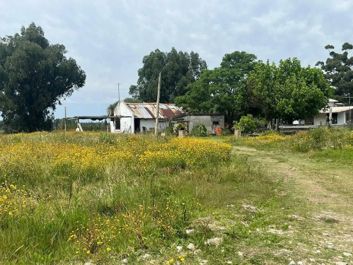 CHACRA EN VENTA 6HAS SALINAS Ruta 87 5