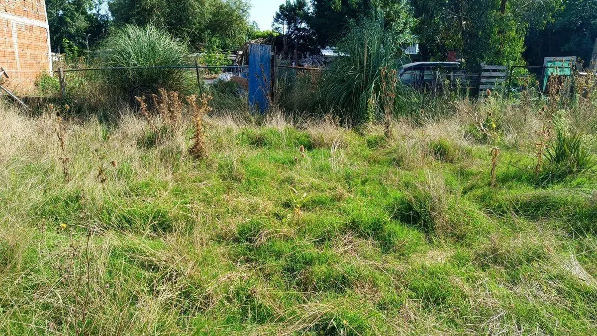 Venta de Terreno en Empalme Olmos 3